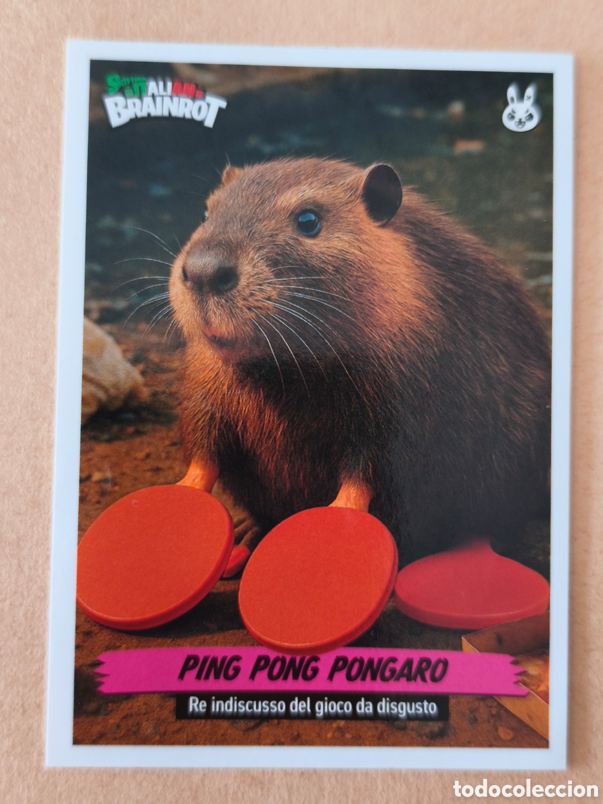 Coleccionismo cromos antiguos: Panini Skifidol Italian Brainrot. Stickers, Ping Pong Pongaro, #202