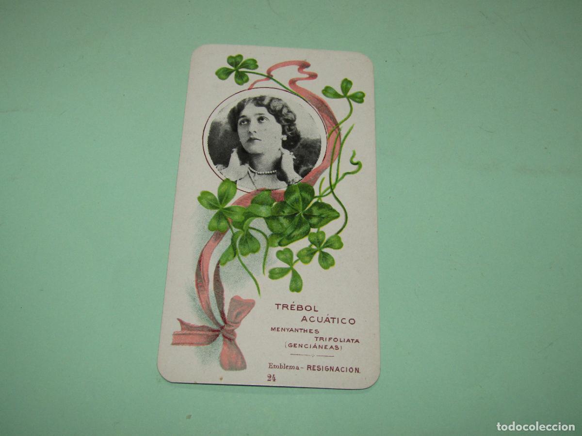 Coleccionismo cromos antiguos: Cromolitograf&iacute;a n&ordm; 14 *El Emblema de las Flores* TR&Eacute;BOL ACU&Aacute;TICO Publicidad de Calzado - A&ntilde;o 1920s
