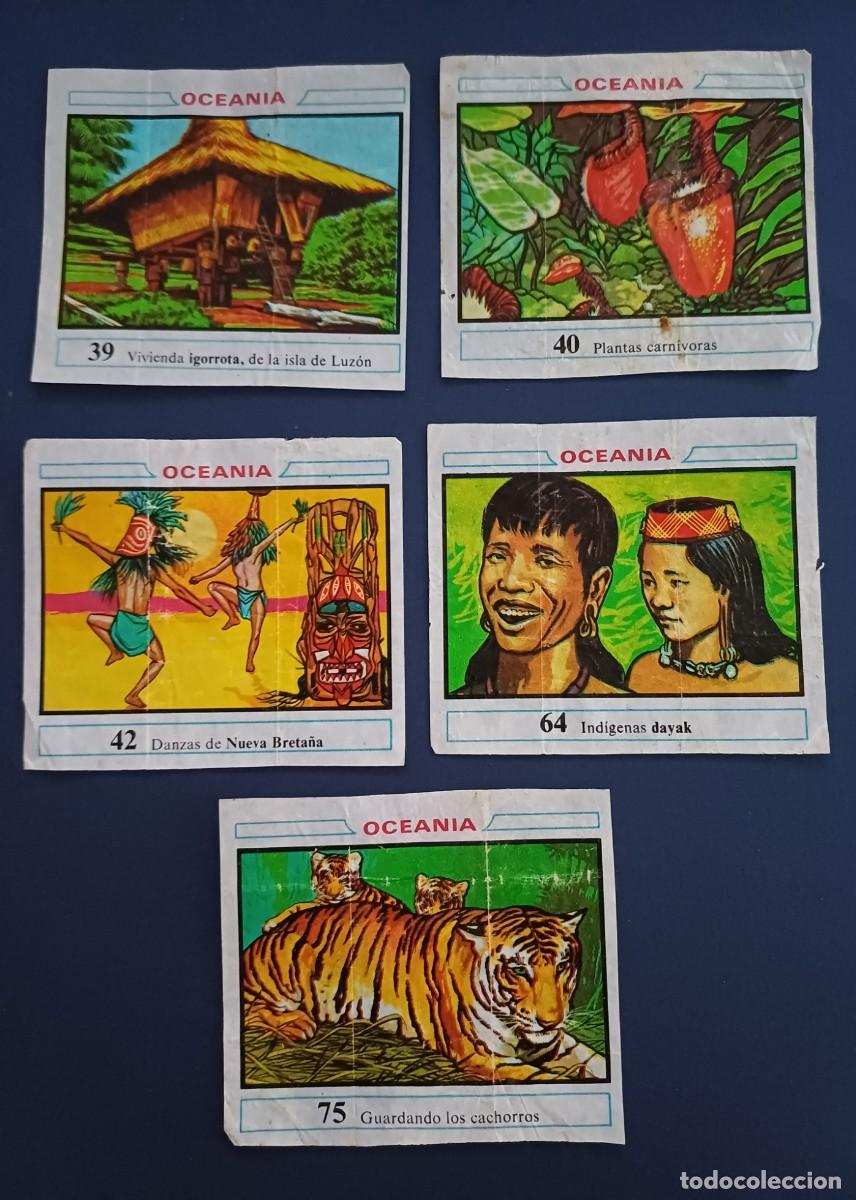 Coleccionismo cromos antiguos: 5 cromos Oceania , chicles dunkin, despegados ,casi no se nota, bien conservados