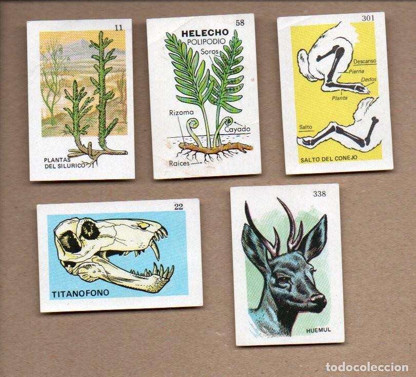 Coleccionismo cromos antiguos: LOTE DE 5 CROMOS - DEL ALBUM TAREAS ESCOLARES , EDITORIAL CHILENA MUNDICROM A&Ntilde;OS 80. SIN PEGAR.