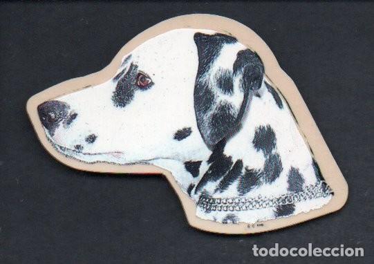 Coleccionismo cromos antiguos: CROMO ADHESIVO, PERRO, CABEZA DE DALMATA. 8 X 5,5 CM.