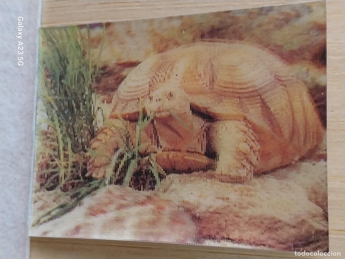 Coleccionismo cromos antiguos: PANRICO TORTUGA CROMO 30 LENTICULAR ORIGINAL PROMO PASTELITOS A&Ntilde;OS 70