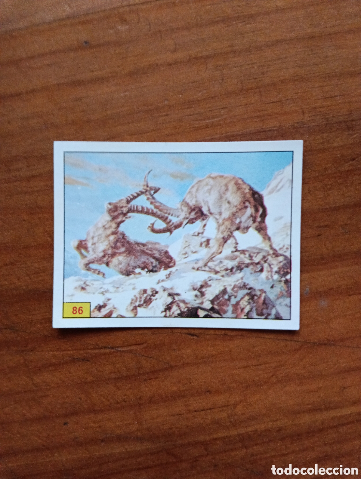 Coleccionismo cromos antiguos: Cromo 86 Panini Mam&iacute;feros