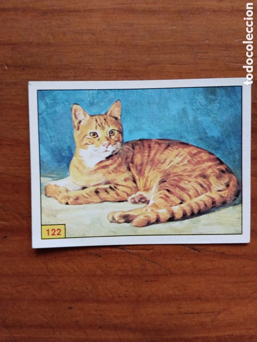 Coleccionismo cromos antiguos: Cromo 122 Panini Mam&iacute;feros - Foto 1