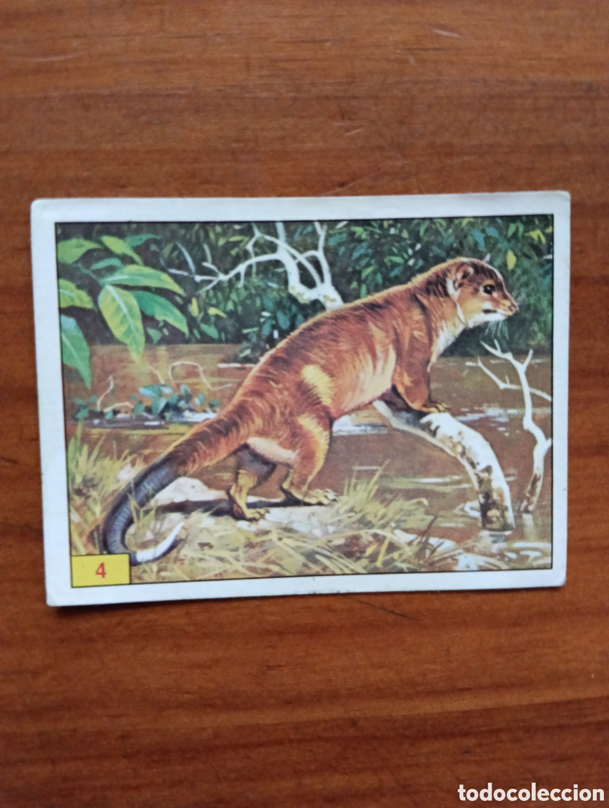 Coleccionismo cromos antiguos: Cromo Panini Mam&iacute;feros 4