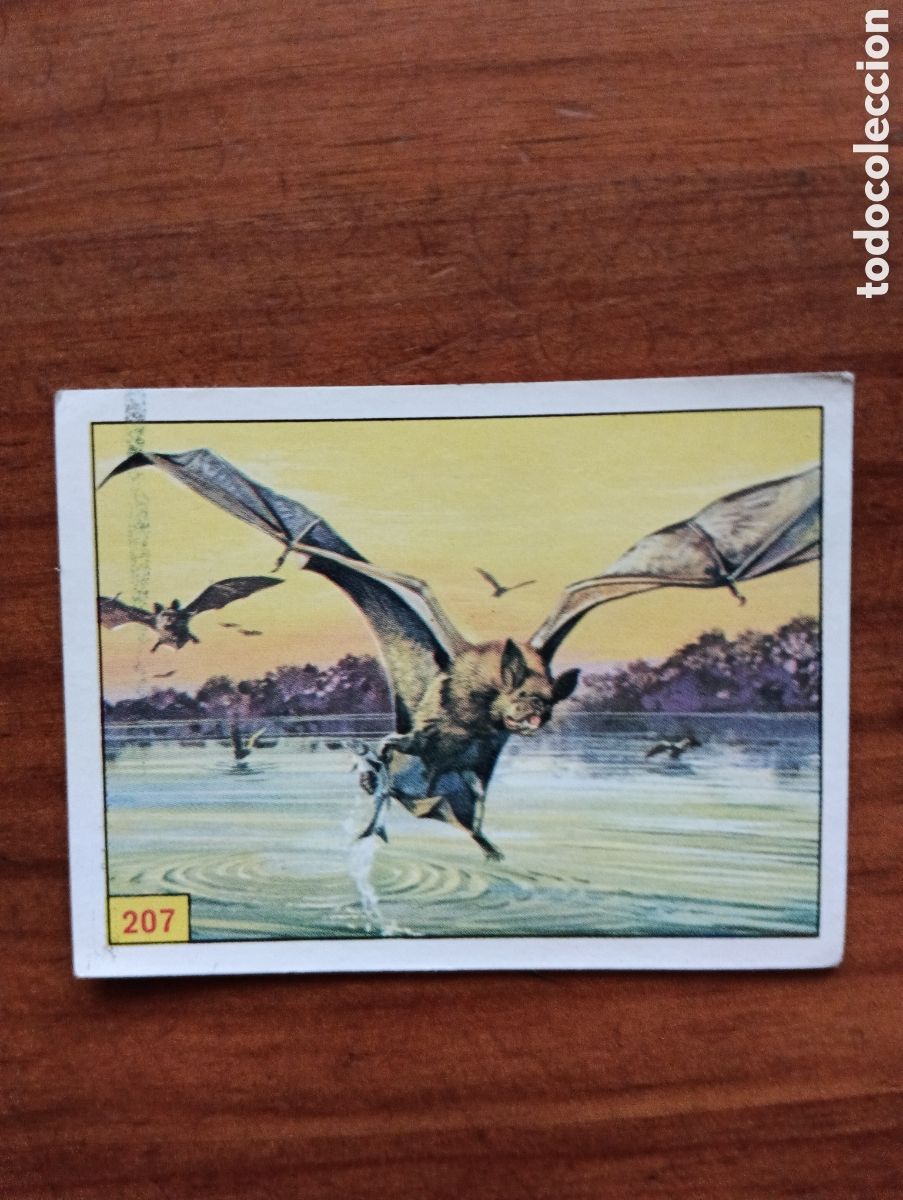 Coleccionismo cromos antiguos: Cromo Panini Mam&iacute;feros N&deg; 207