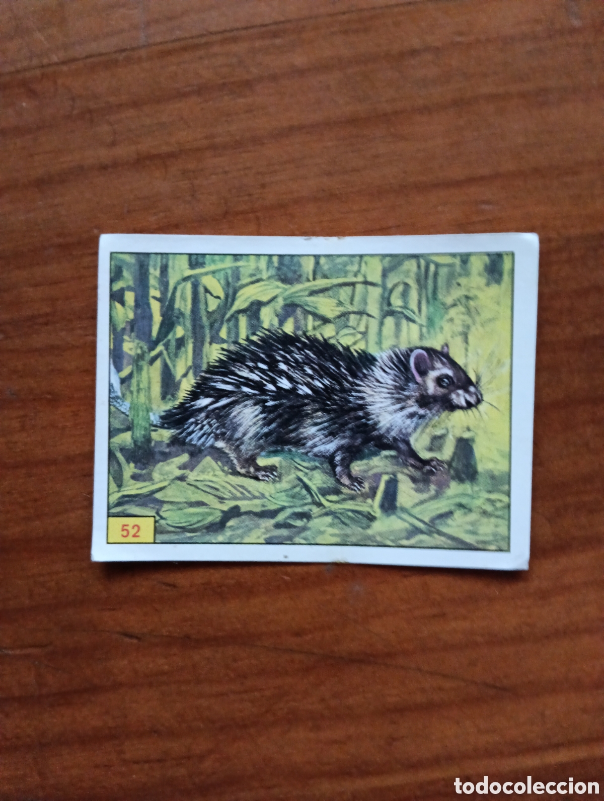 Coleccionismo cromos antiguos: Cromo Panini Mam&iacute;feros N&deg; 52 - Foto 1