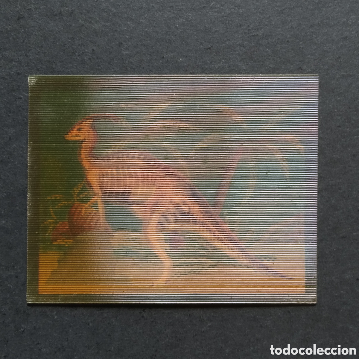 Coleccionismo cromos antiguos: CROMO - N&ordm; 22 - EL MUNDO PERDIDO (JURASSIC PARK)- A&Ntilde;O 1997 - BOLLYCAO (HOLOGR&Aacute;FICO)