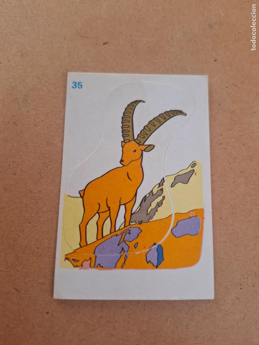 Coleccionismo cromos antiguos: HEIDI - YOGUR CLESA - CROMO ADHESIVO TROQUELADO N&ordm; 35 ( NUNCA PEGADO )