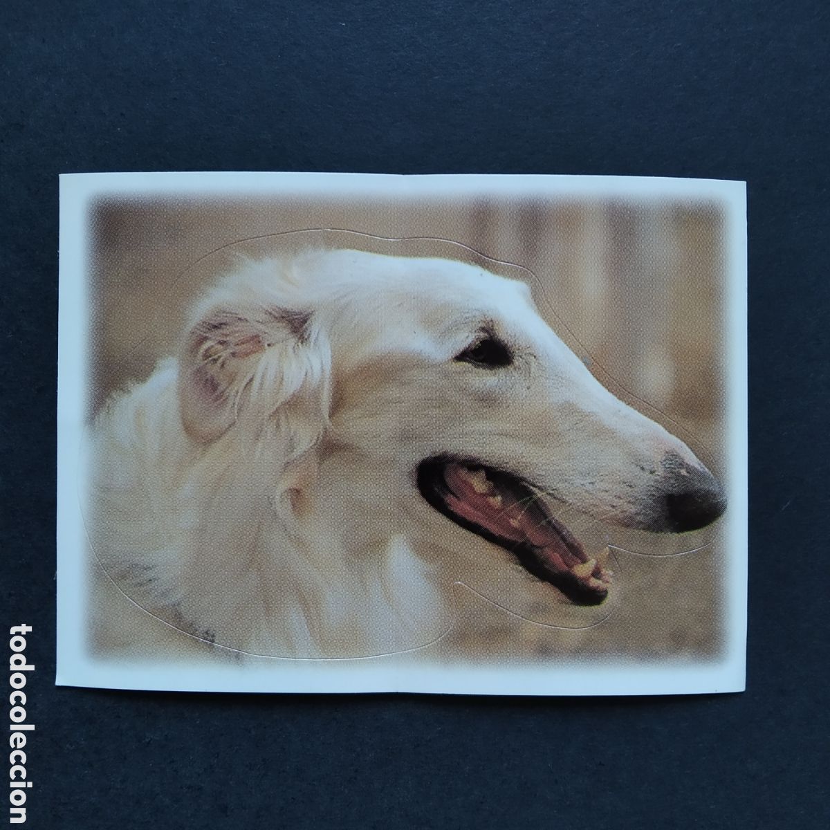 Coleccionismo cromos antiguos: CROMO - N&deg; 51 - BORZOI - AMIGOS Y COLEGAS - BOLLYCAO