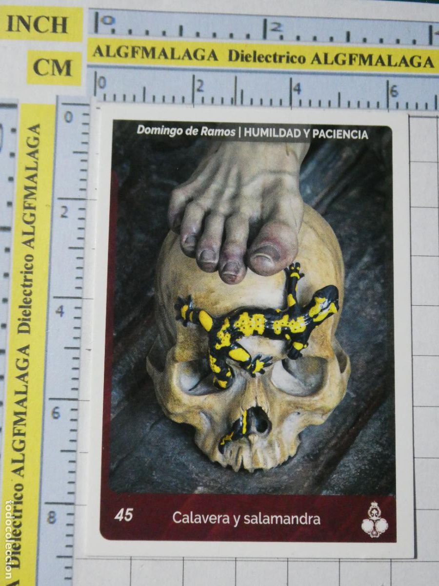 Coleccionismo cromos antiguos: CROMO TARJETA HOLY CARDS SEMANA SANTA M&Aacute;LAGA. 45 HUMILDAD Y PACIENCIA CALAVERA SALAMANCA