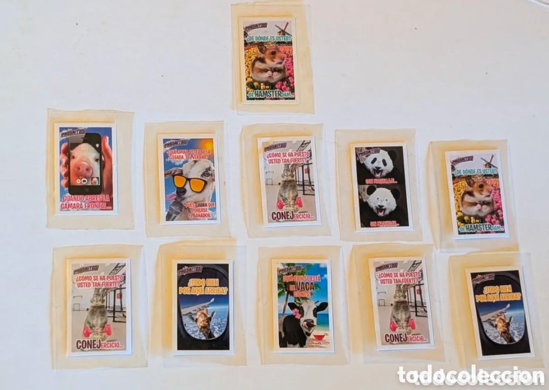 Coleccionismo cromos antiguos: Cromos sin abrir Phoskitos. Flymals.Frases