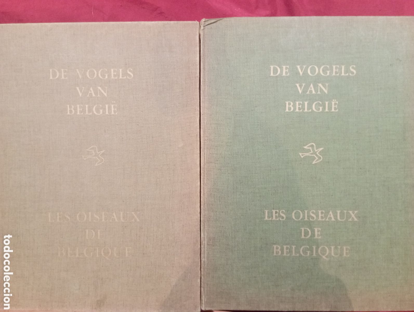 Coleccionismo cromos antiguos: 2 &Aacute;lbumes de cromos completos &rdquo;Las aves de B&eacute;lgica&rdquo; 350 cromolitograf&iacute;as de gran formato 9x12