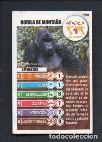 Coleccionismo cromos antiguos: CROMO BOLLYCAO - ACCION RESCATE N&ordm; 17/55 GORILA DE MONTA&Ntilde;A. AFRICA.