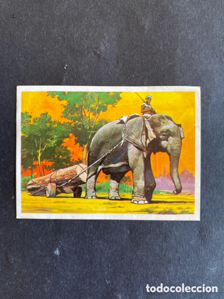 Coleccionismo cromos antiguos: Cromo Tu viaje con Ondina N* 24