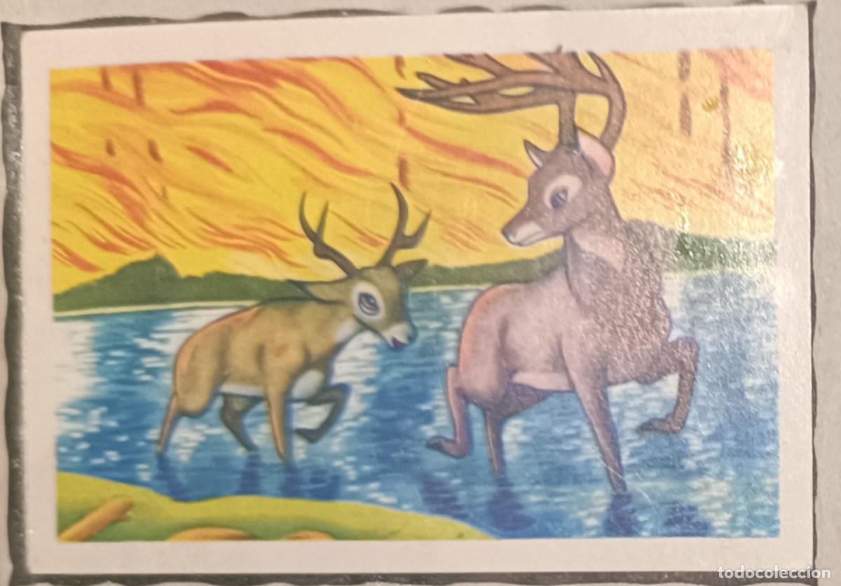 Coleccionismo cromos antiguos: LOTE 2 CROMOS ALBUM BAMBI DE FHER (RECUPERADOS)