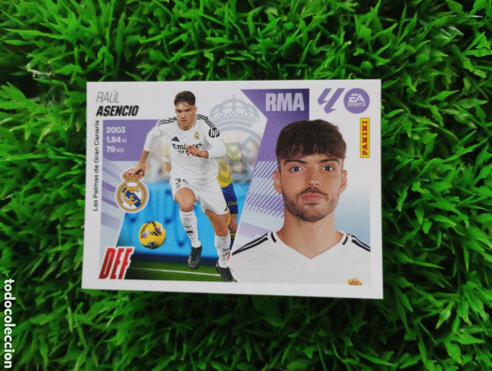 Coleccionismo cromos antiguos: Asencio Real Madrid Liga Este 25-26 # 6 NUNCA PEGADO