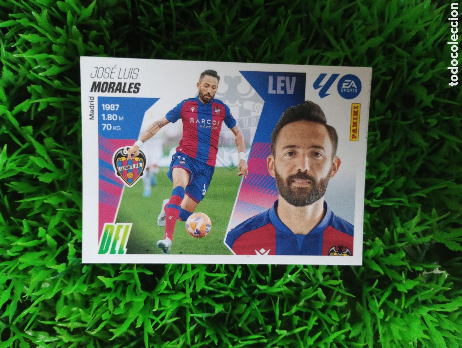 Coleccionismo cromos antiguos: Morales Levante Liga Este 25-26 # 18 NUNCA PEGADO