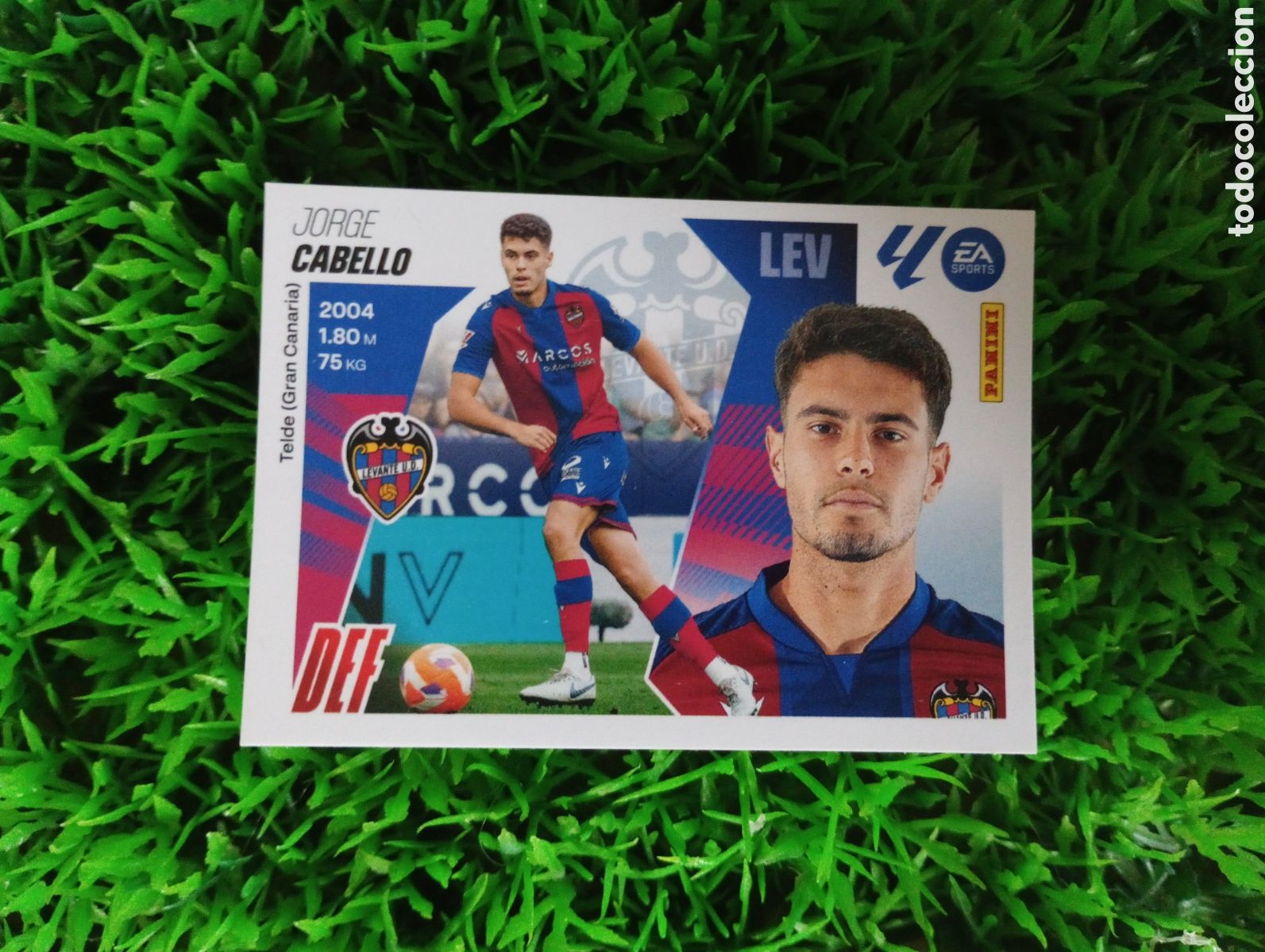 Coleccionismo cromos antiguos: Cabello Levante Liga Este 25-26 # 7 NUNCA PEGADO