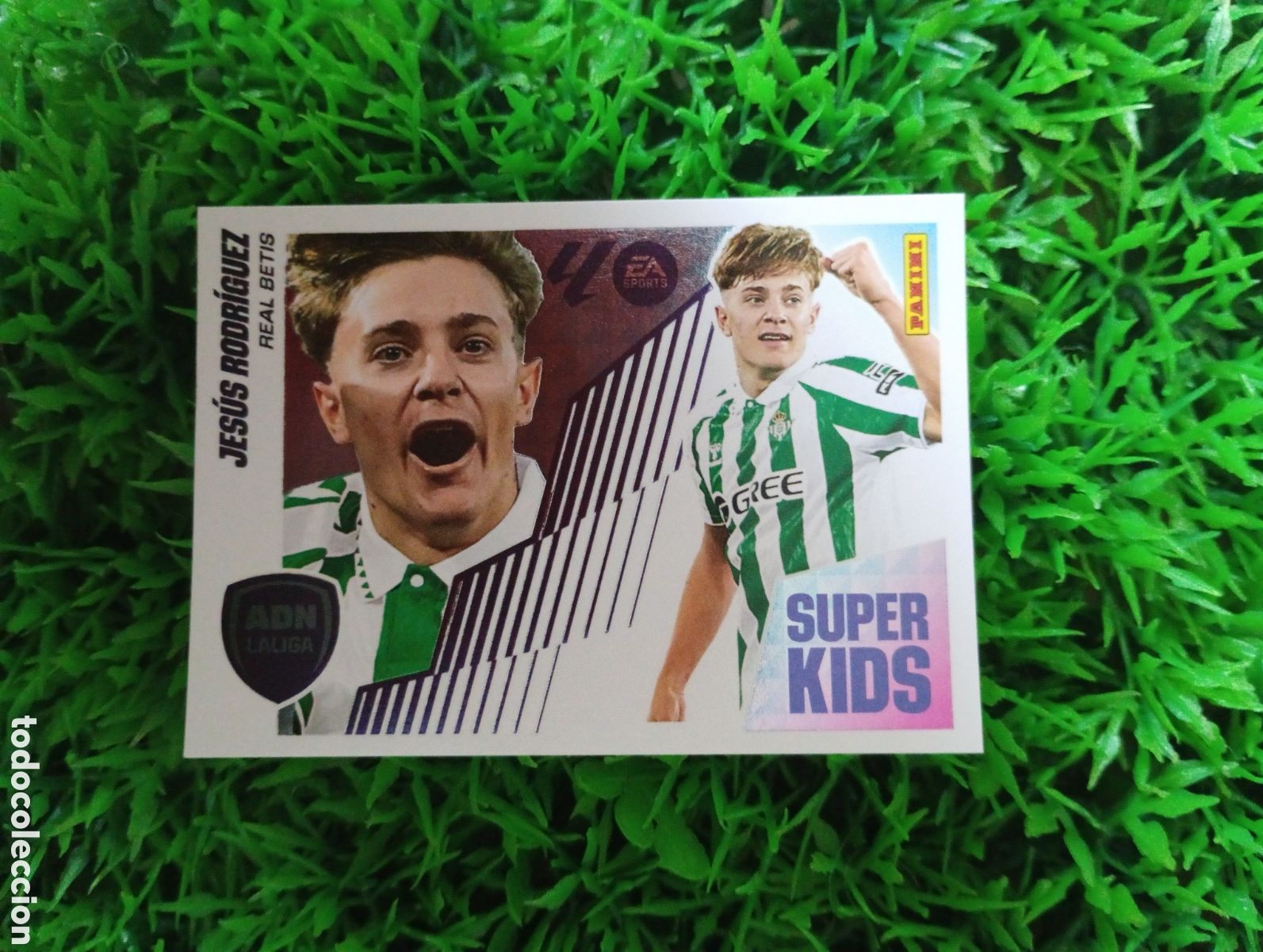 Coleccionismo cromos antiguos: Jesus Rodriguez Betis SUPER KIDS Liga Este 25-26 # 13 NUNCA PEGADO