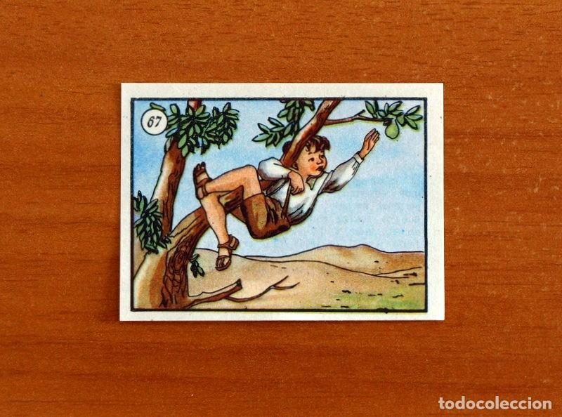 Coleccionismo cromos antiguos: Marcelino Pan y Vino - Cromo N&ordm; 67 - Editorial Cig&uuml;e&ntilde;a A&ntilde;o 1955 - Nunca pegado