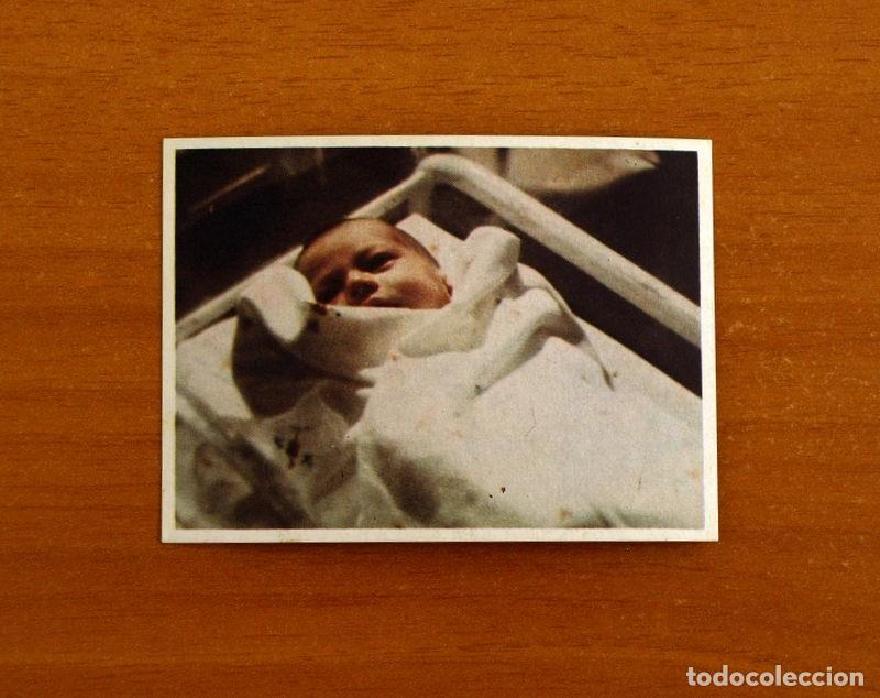 Coleccionismo cromos antiguos: Cromo n&ordm; 144 - De la serie de Televisi&oacute;n V Los Visitantes - Editorial Maga 1984 - Nunca pegado
