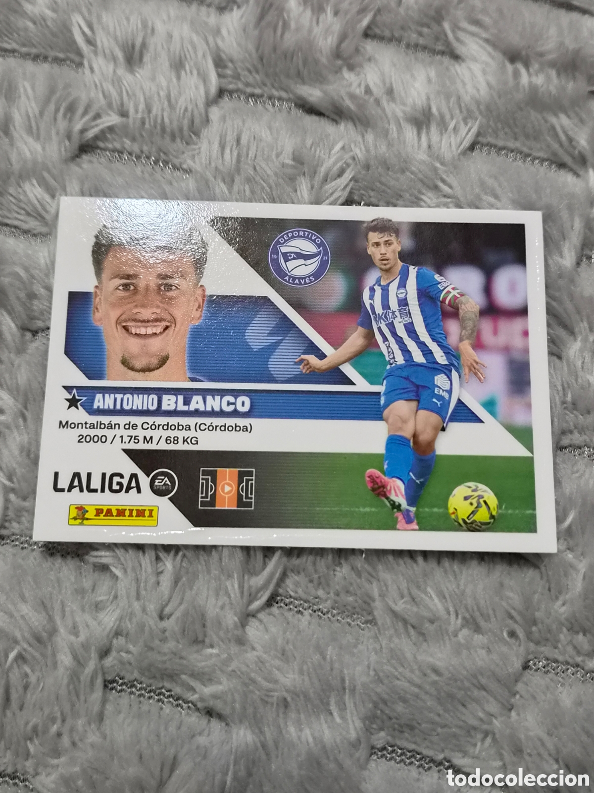 Coleccionismo cromos antiguos: 12 - BLANCO, ALAVES LIGA ESTE 2026 2027