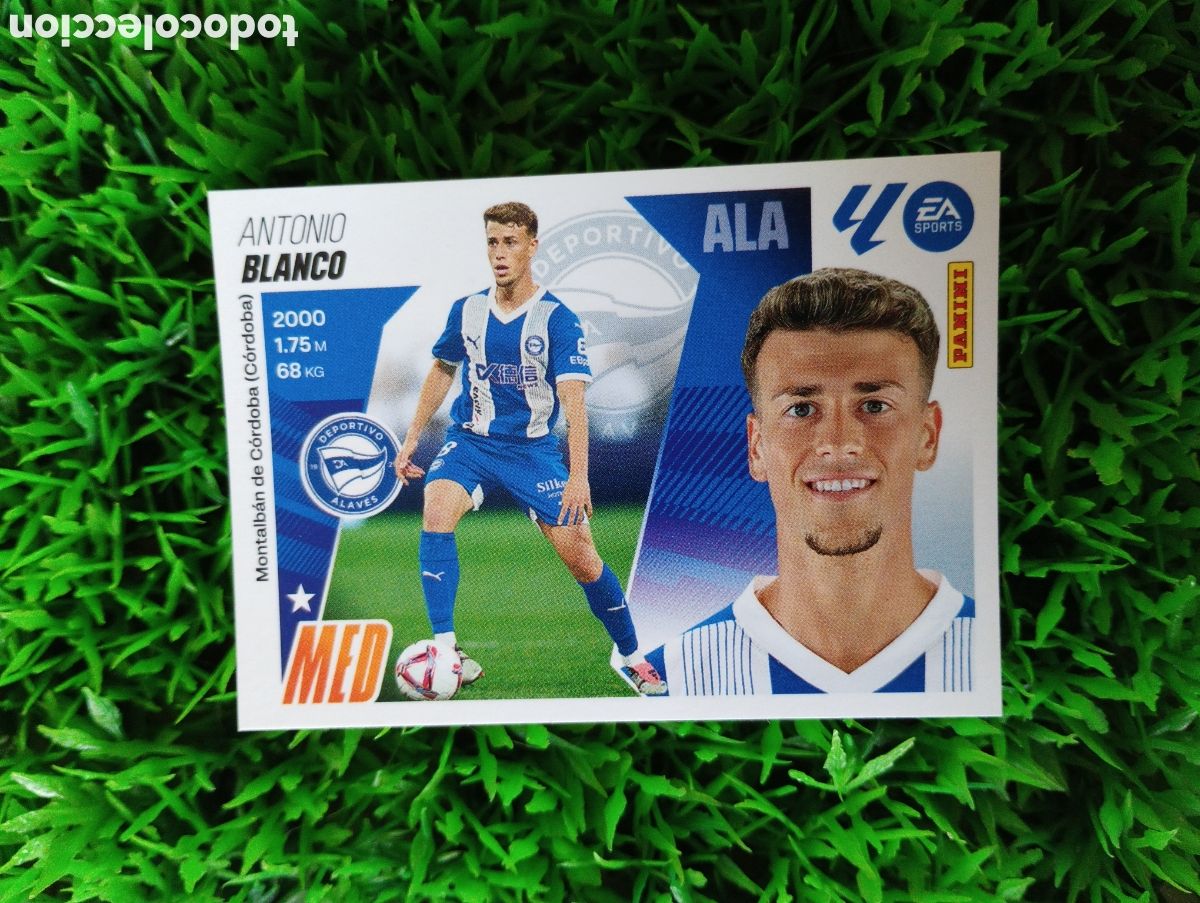 Coleccionismo cromos antiguos: Blanco Alaves Liga Este 25-26 # 14 NUNCA PEGADO