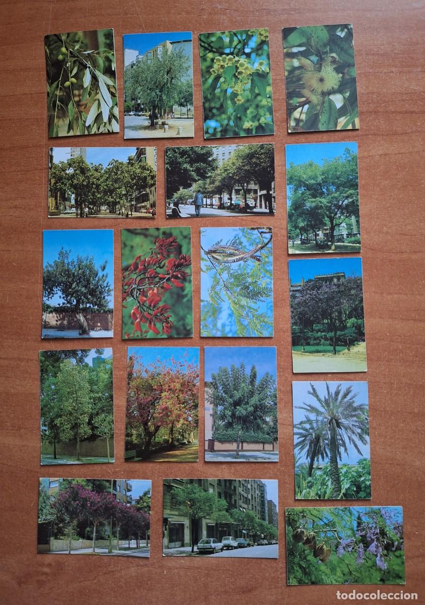 Sammeln alte Sammelbilder: LOTE 18 CROMOS ARBRES DE BARCELONA