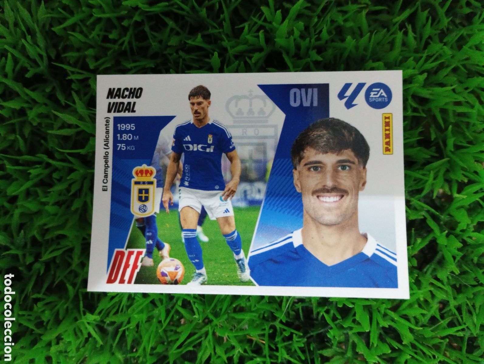 Coleccionismo cromos antiguos: Nacho Vidal Oviedo Liga Este 25-26 # 5 NUNCA PEGADO