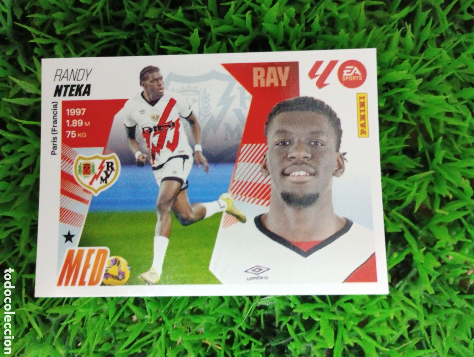 Coleccionismo cromos antiguos: Nteka Rayo Vallecano Liga Este 25-26 # 15 A NUNCA PEGADO