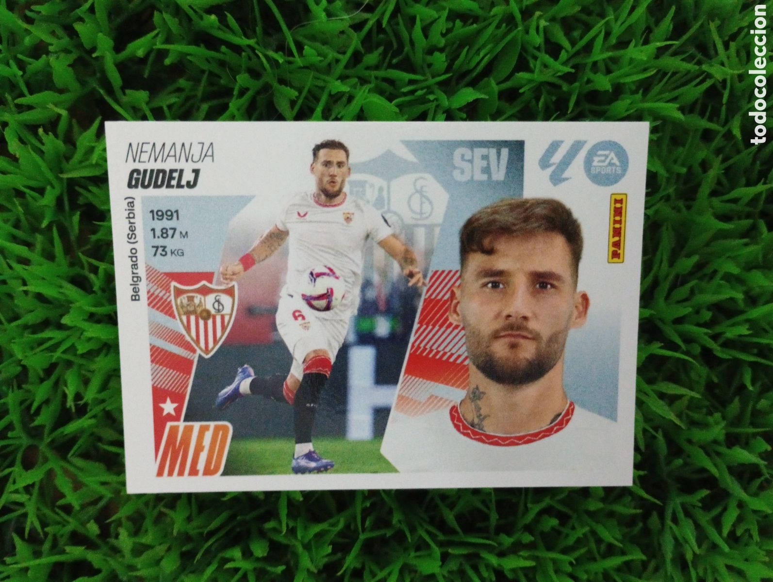 Coleccionismo cromos antiguos: Gudelj Sevilla Liga Este 25-26 # 11 NUNCA PEGADO