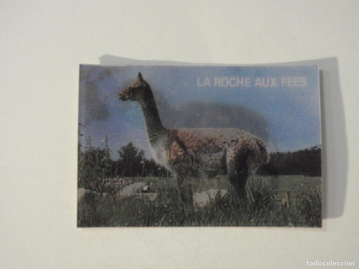 Coleccionismo cromos antiguos: Cromo lenticular 2 MACRAUCHENIA / LLAMA - Los animales prehist&oacute;ricos y los de hoy en d&iacute;a 1976