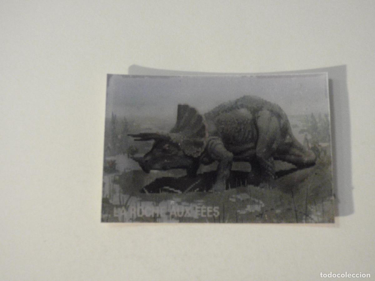 Coleccionismo cromos antiguos: Cromo lenticular 8 TRICERATOPS / RINOCERONTE - Los animales prehist&oacute;ricos y los de hoy en d&iacute;a 1976