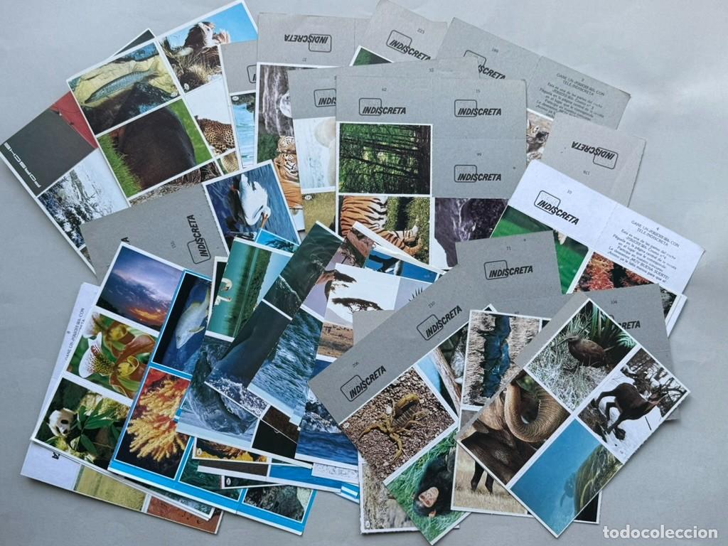 Coleccionismo cromos antiguos: Lote de cromos animales. Tele Indiscreta. Varias series.