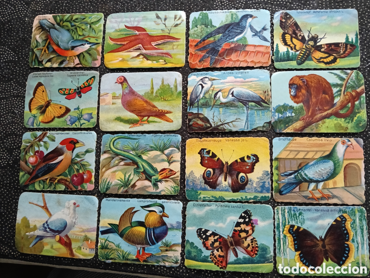 Coleccionismo cromos antiguos: Lote de 16 cromos usados VLADIN laboratorios VIADIN Barcelona a&ntilde;os 30-50