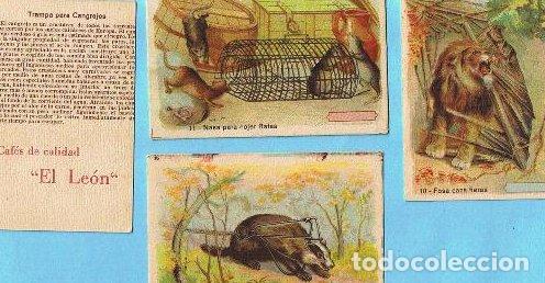 Collectable Antique Stickers: LOTE DE CROMOS. CROMOS SUELTOS; 1,00 &euro;. TRAMPAS. CAF&Eacute;S DE CALIDAD, EL LE&Oacute;N.