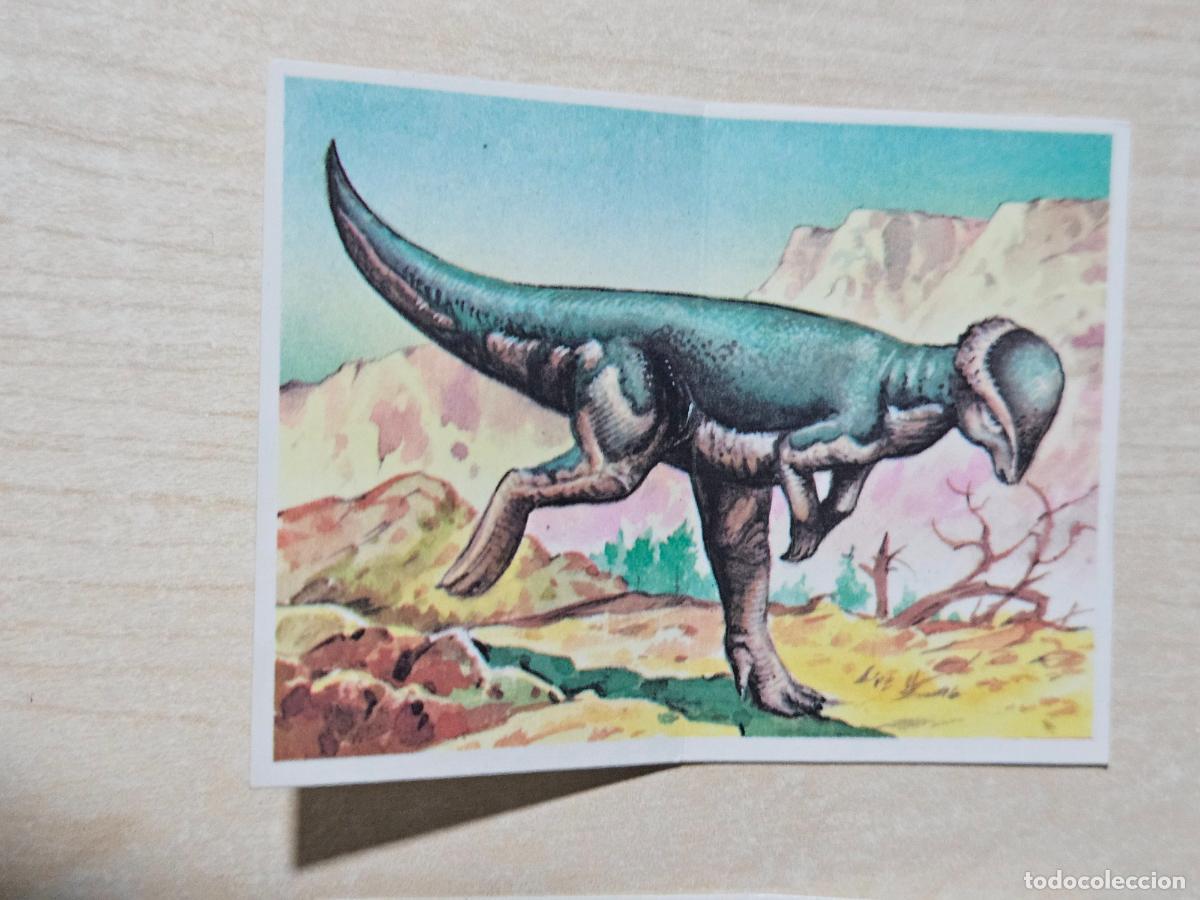 Coleccionismo cromos antiguos: PEGATINA 42 STEGOCERAS LOS AUT&Eacute;NTICOS CROMOS DE LOS DINOSAURIOS BOLLYCAO