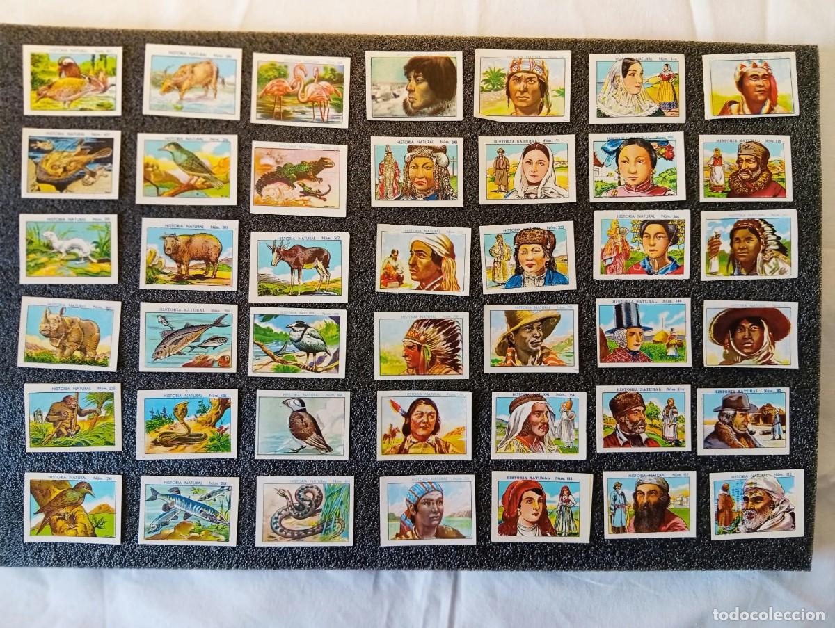 Colecionismo Cromos antigos: Lote de 172 cromos peque&ntilde;os de la antigua colecci&oacute;n de Prehistoria de chocolates Juncosa