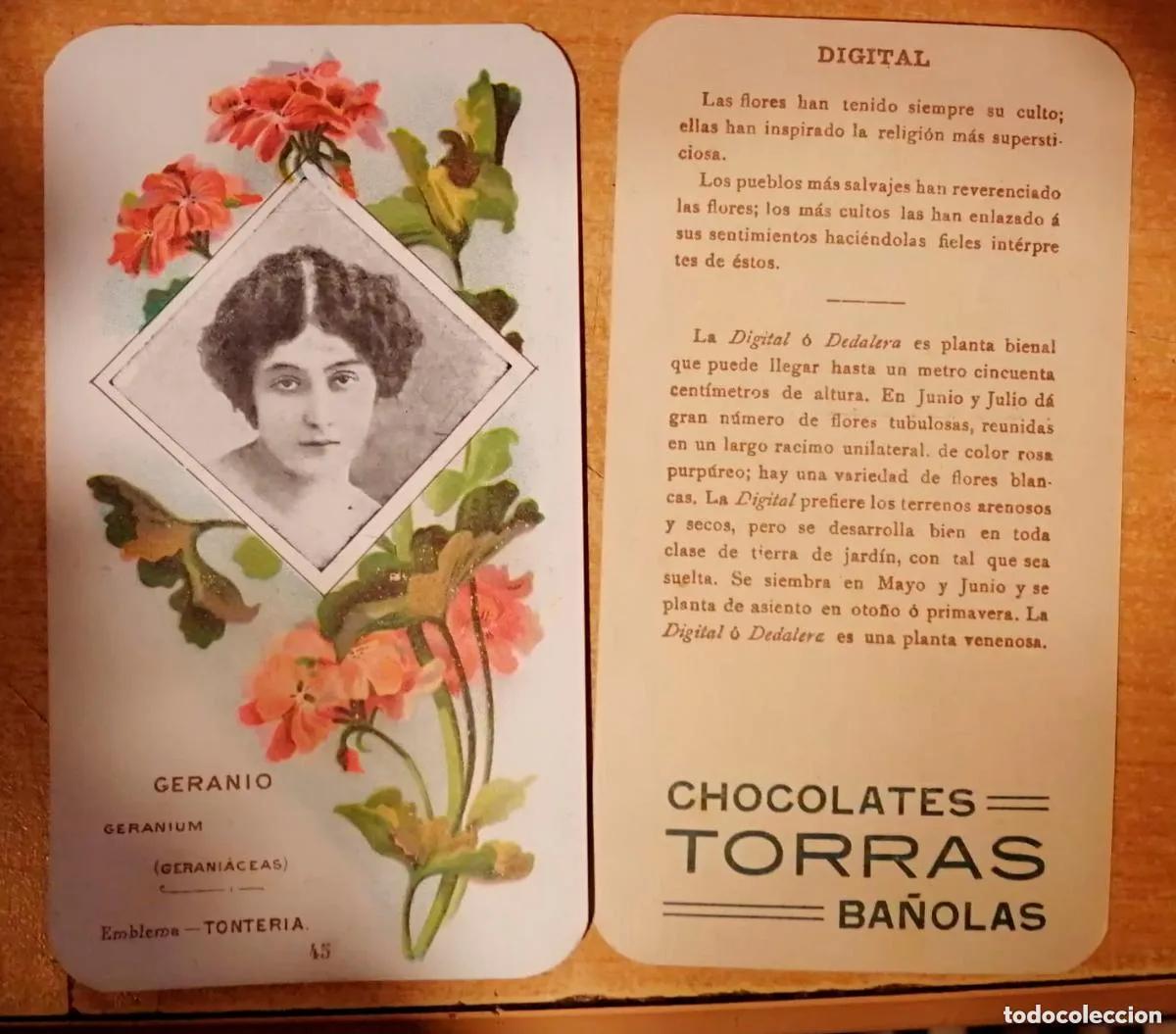 Colecionismo Cromos antigos: Cromo de Chocolates TORRAS - Lenguaje y Significado de las Flores - completa 49 serie a - a&ntilde;o 1914