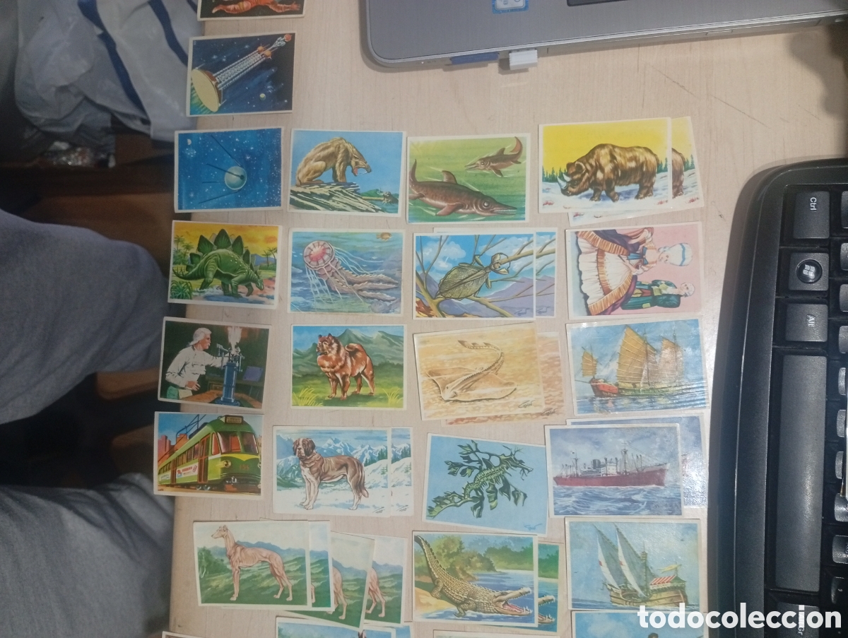 Collezionismo Figurine antiche: Gran lote de cromos BIMBO Conocimientos universales