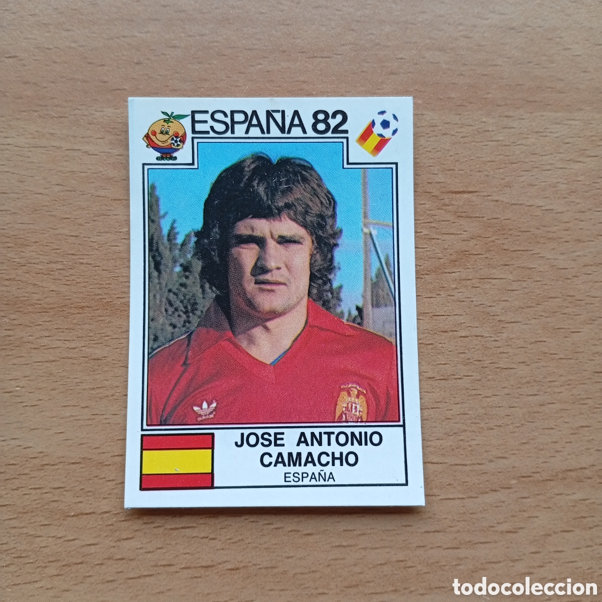 Coleccionismo cromos antiguos: 1982 ESPA&Ntilde;A 82 - N&ordm; 295 CAMACHO - ESPA&Ntilde;A - PANINI