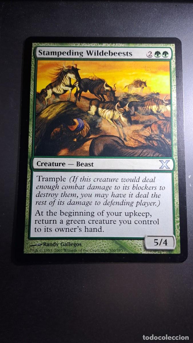 Coleccionismo cromos antiguos: CROMO STAMPEDING WILDEBEESTS CREATURE BEAST DECKMASTER MAGIC THE GATHERING