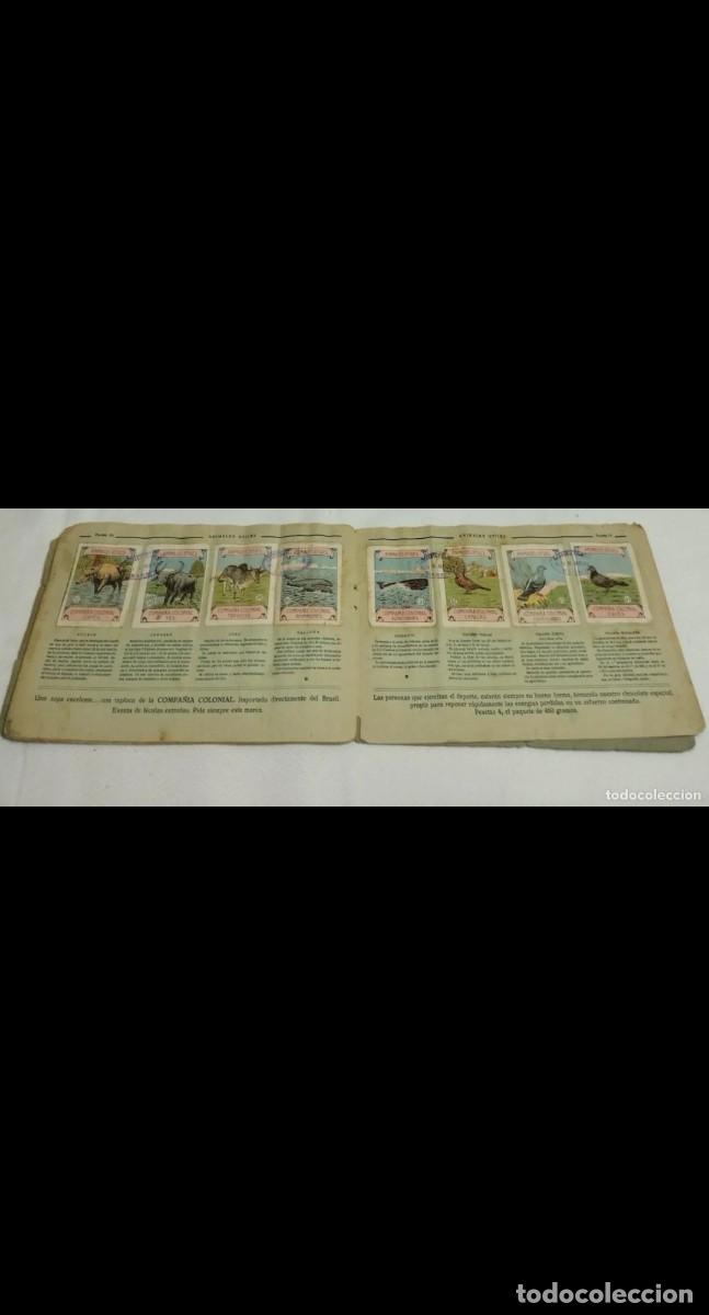 Coleccionismo cromos antiguos: Antiguo Album de 1900 completo - Foto 3