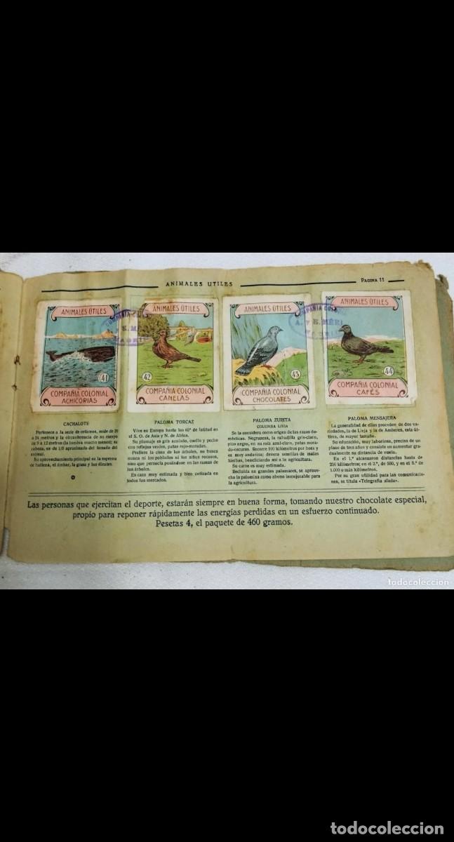 Coleccionismo cromos antiguos: Antiguo Album de 1900 completo - Foto 4