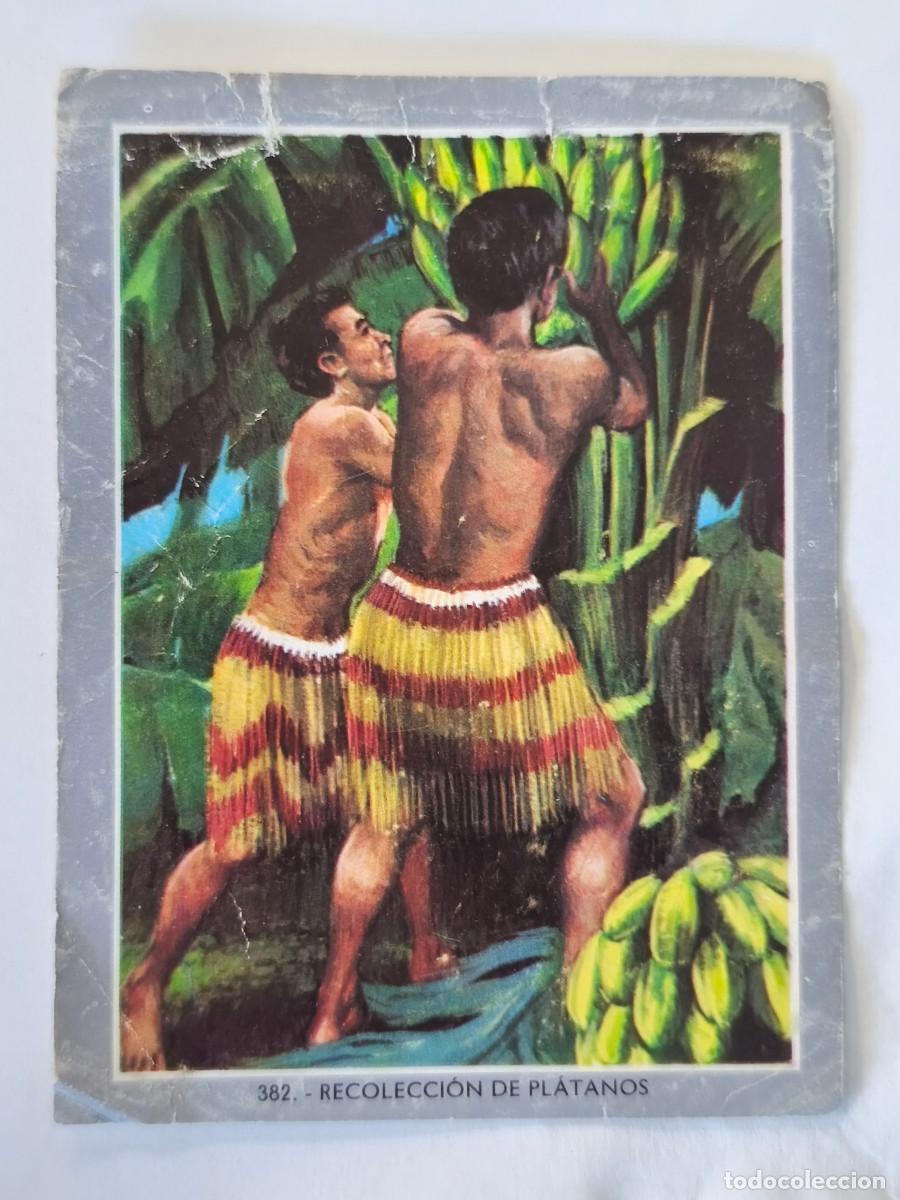 Coleccionismo cromos antiguos: CROMO ALBUM VIDA Y COLOR mini album 2 - No 382 Recolecci&oacute;n de Pl&aacute;tanos - Nunca Pegado