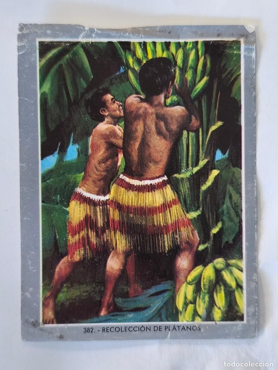 Coleccionismo cromos antiguos: CROMO ALBUM VIDA Y COLOR mini album 2 - No 382 Recolecci&oacute;n de Pl&aacute;tanos - Nunca Pegado