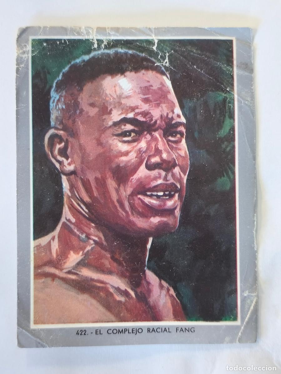 Coleccionismo cromos antiguos: CROMO ALBUM VIDA Y COLOR 2 - No 422 EL COMPLEJO RACIAL FANG - Nunca Pegado