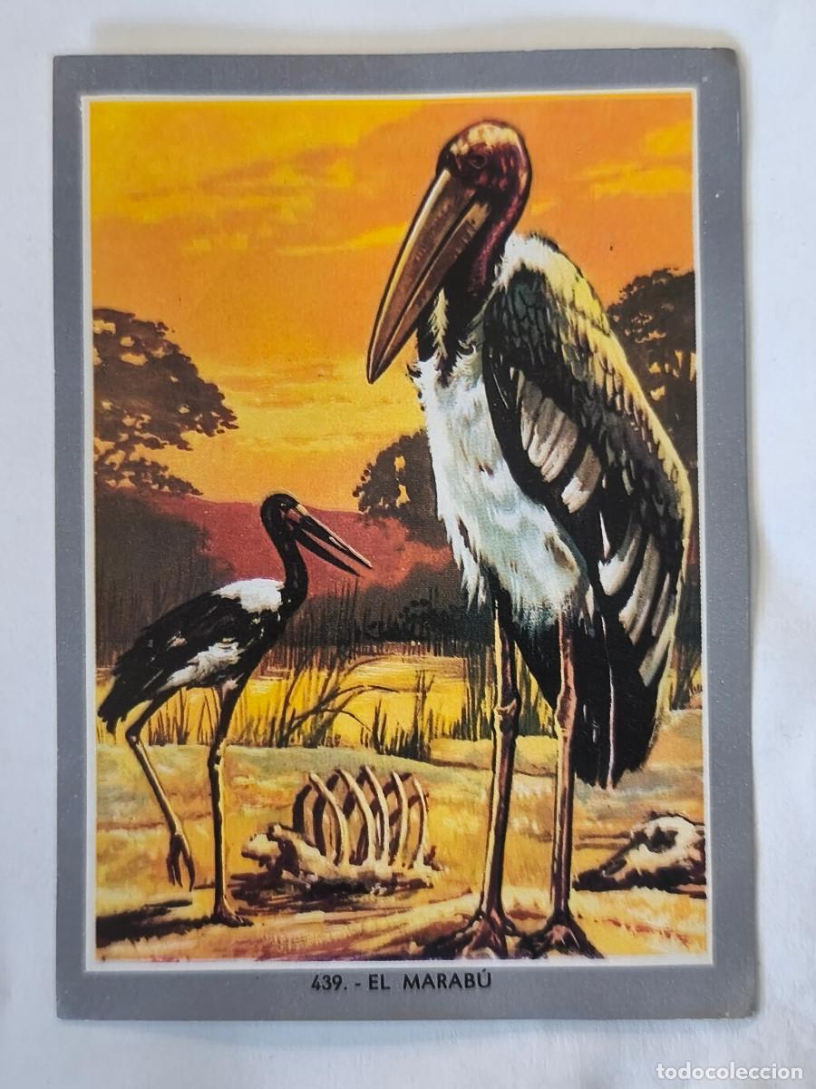 Coleccionismo cromos antiguos: CROMO ALBUM VIDA Y COLOR 2 - No 439 MARABU - Nunca Pegado