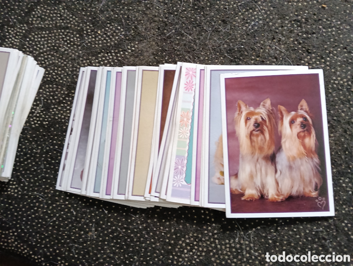 Coleccionismo cromos antiguos: Lote de 40 cromos diferentes de ANIMALITOS DIVERTIDOS de Panini 2009 en buen estado